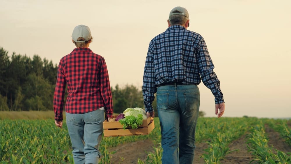 Farming Divorce