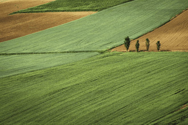 an aerial shot of many acres of land