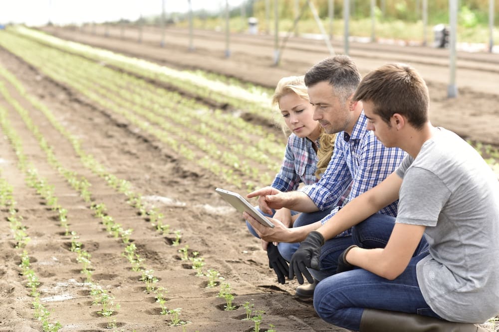 Tees launches new agricultural scholarship with Anglia Ruskin University