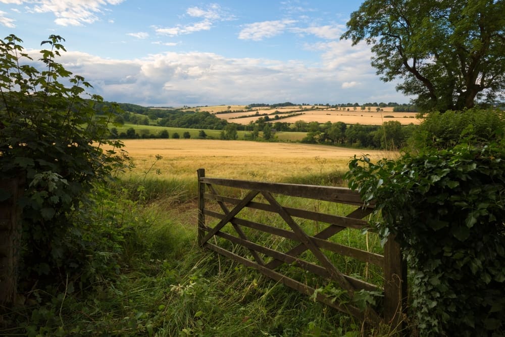 Opportunities Cambridge-Oxford corridor