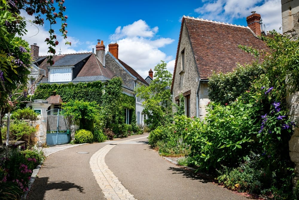 Charming French village street with traditional stone houses, ivy-covered walls, and lush gardens, representing a property for sale in France.