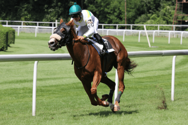 horse and jockey, horse purchase dispute