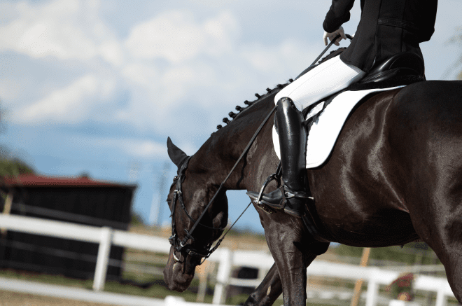 a woman in dressage attire sits atop a dark horse, co-ownership agreement