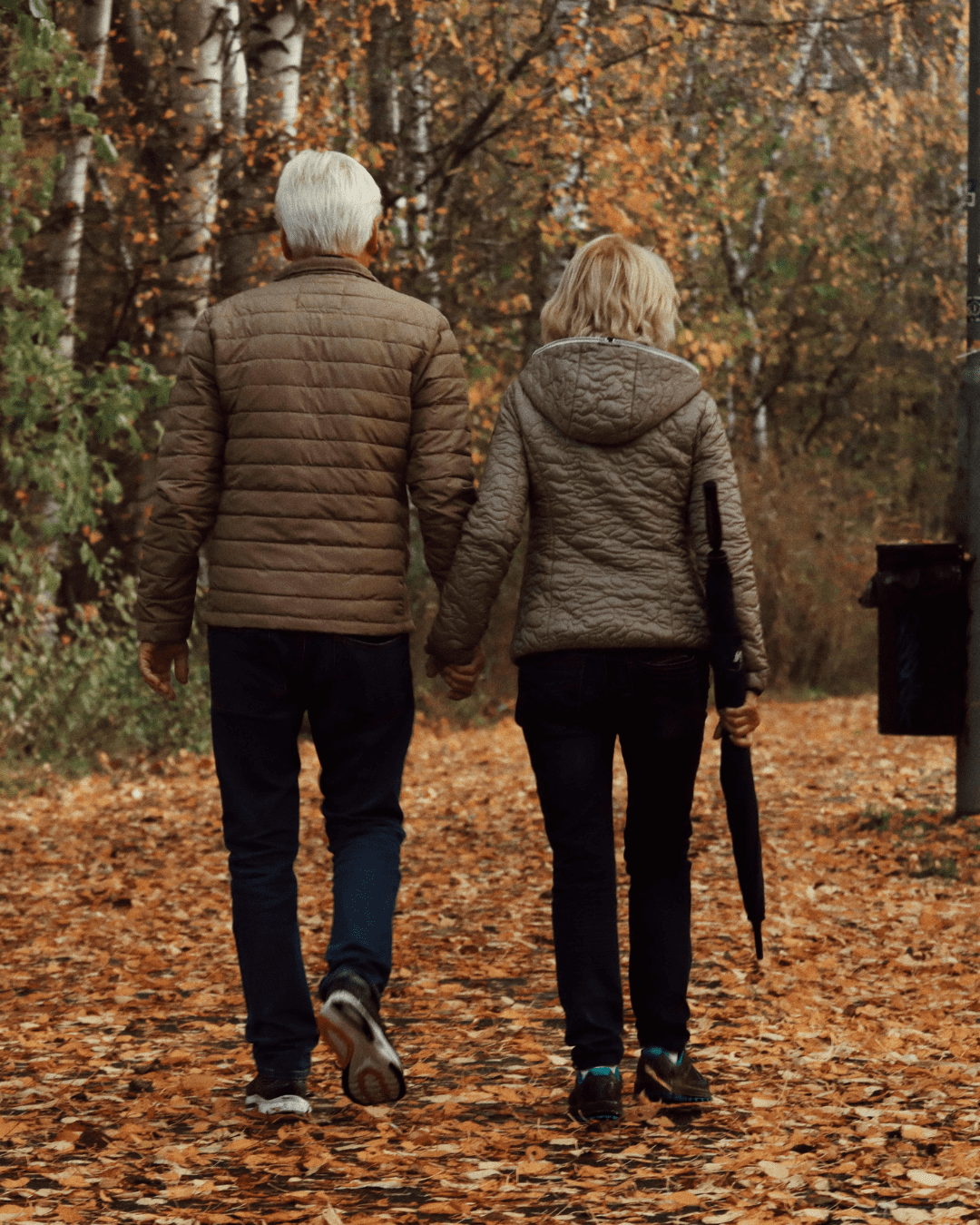 a couple walking through a forest, pension